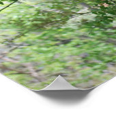 Tyrannosaurus T-Rex Dinosaur Poster (Hoek)