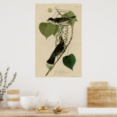 Tyrant Fly Catcher Poster (Keuken)