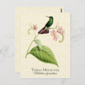 Tyrian Metal Tail Hummingbird Art Briefkaart (Voorkant / Achterkant)