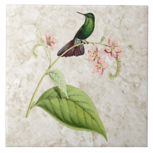 Tyrian Metal Tail Hummingbird Ceramic Tegel Tegeltje