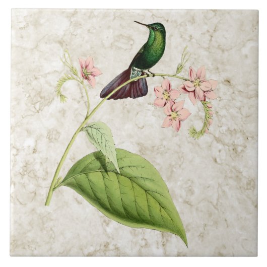 Tyrian Metal Tail Hummingbird Ceramic Tegel Tegeltje (Voorkant)