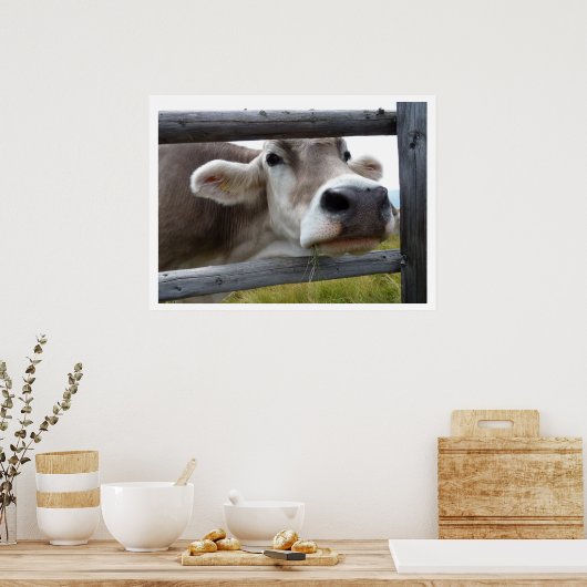 Tyrolean Koe Face through Fence Poster (Keuken)