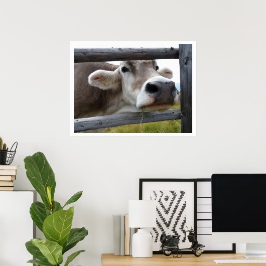 Tyrolean Koe Face through Fence Poster (Thuiskantoor)