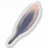 Tyto Feather-Sticker Sticker (Voorkant)