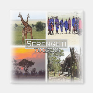 TZ0020 Afrika, Tanzania, Serengeti N.P. Koelkast Magneet
