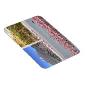 TZ Tanzania - Magneet (Rechterzijde)