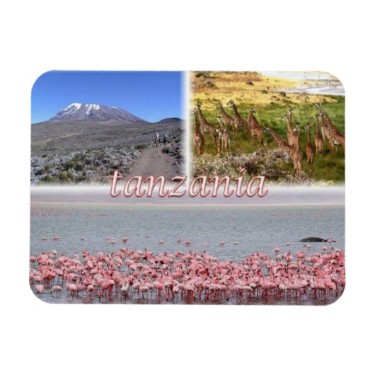 TZ Tanzania - Magneet (Horizontaal)