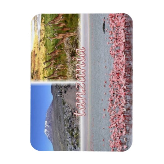 TZ Tanzania - Magneet (Verticaal)