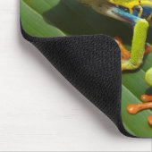 Tzefardea in het Hebreeuws betekent "kikker" Muismat (Hoek)