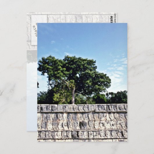 Tzompantli-Wall van Skulls, Chichen Itza Briefkaart (Voorkant / Achterkant)