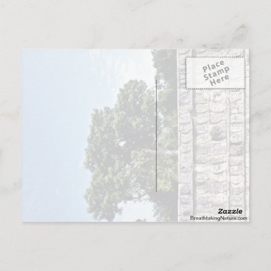 Tzompantli-Wall van Skulls, Chichen Itza Briefkaart (Achterkant)