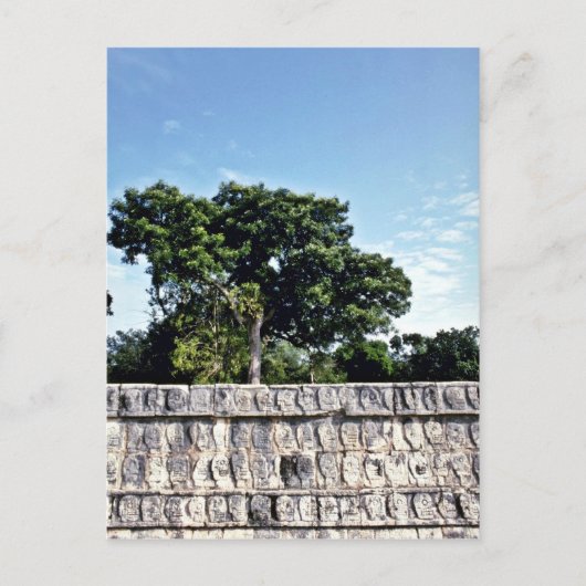 Tzompantli-Wall van Skulls, Chichen Itza Briefkaart (Voorkant)