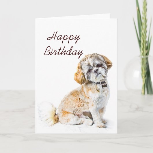 Tzu Dog Happy Birthday Card Kaart (Voorkant)