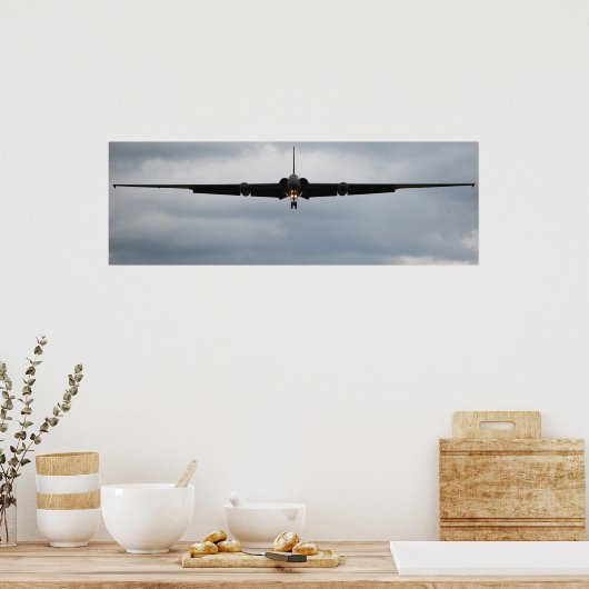 U-2 "Drakendame" Poster (Keuken)