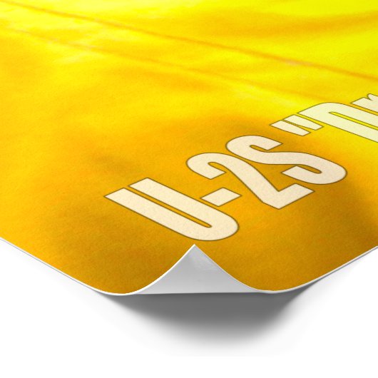 U-2S DRAGON LADY POSTER (Hoek)