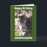 U AMAZING **GRANDDAUGHTER** BIRTHDAY KAART<br><div class="desc">DANK JE ZO VEEL VOOR EEN VAN MIJN ACHT STORES!!!</div>