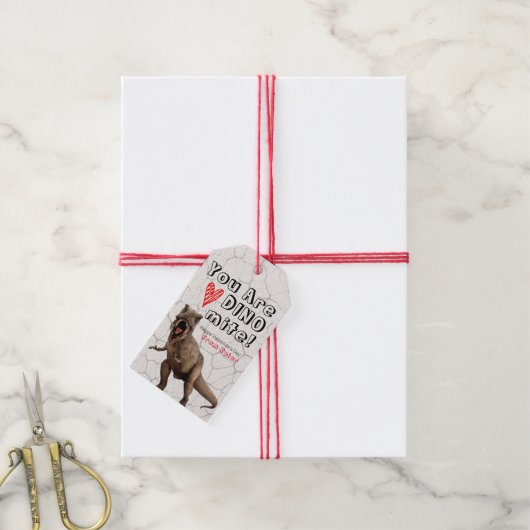 U bent DINOmite Classroom Valentijnse Gift Labels Cadeaulabel (Met Touw)