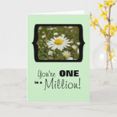 U bent één in Miljoen, Madeliefjes in de Kaart van (Gele Bloem)