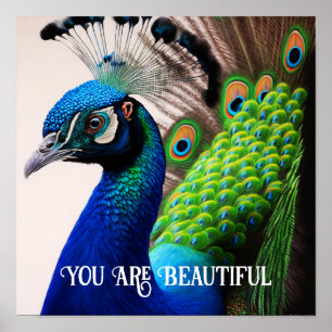 U bent een mooi Inspirerend citaat van Peacock Poster