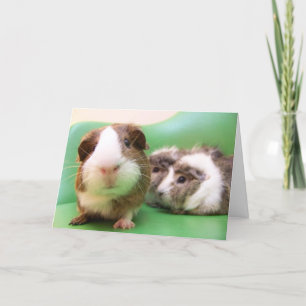 U bent een Standout! Kaart