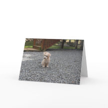 U bent geen Alleen Wenskaart