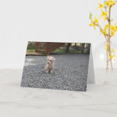 U bent geen Alleen Wenskaart Kaart (Gele Bloem)