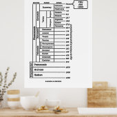 U bent hier (Geologische Leeftijd van de Aarde) Poster (Keuken)