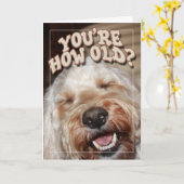 U bent hoe Oud? Kaart (Gele Bloem)