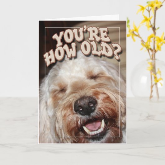 U bent hoe Oud? Kaart (Gele Bloem)