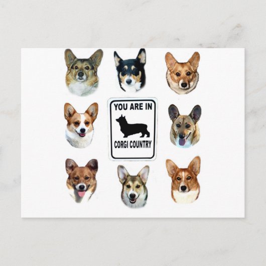 U bent in Land Corgi Briefkaart (Voorkant)