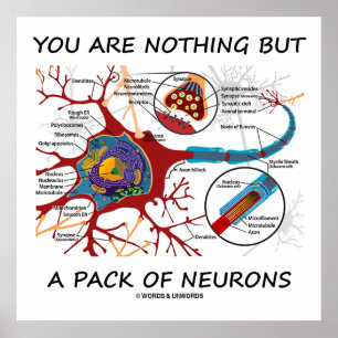 U bent niets anders dan een pak neuronen (synapse) poster