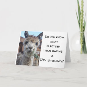 "U BENT NU EEN *TEENAGER* HAPPY 13th BIRTHDAY Kaart