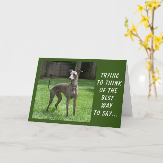 U BENT SPECIAAL EN OOK "UW BIRTHDAAG" KAART (Gele Bloem)