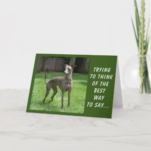 U BENT SPECIAAL EN OOK "UW BIRTHDAAG" KAART