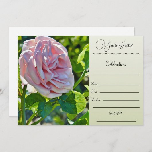 U bent uitgenodigd - Single Roos Kaart (Voorkant / Achterkant)