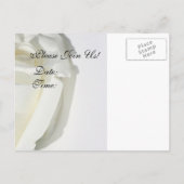 U bent uitgenodigd uitnodigingskaart witte roos uitnodiging briefkaart (Achterkant)