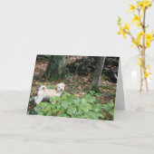 U bent verjaardag, mijn gift kaart (Gele Bloem)
