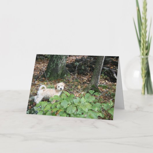 U bent verjaardag, mijn gift kaart (Voorkant)