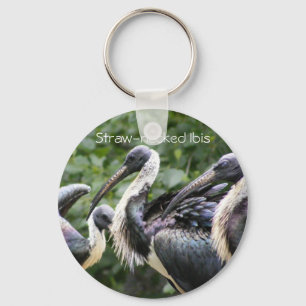 u Dierentuin? Stro-necked Ibis Sleutelhanger