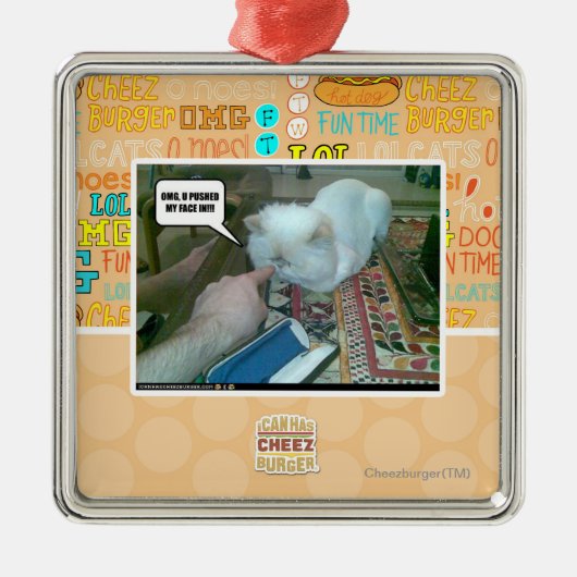 U duwde binnen mijn gezicht! metalen ornament (Voorkant)