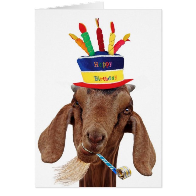 U Geit Ol (Voorkant)