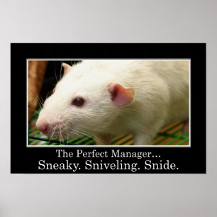 U hebt alle kwaliteiten van een grote manager (L) Poster