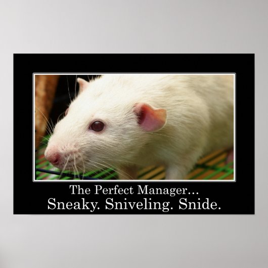 U hebt alle kwaliteiten van een grote manager (L) Poster (Voorkant)