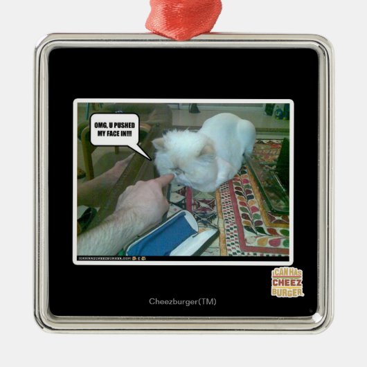 U hebt mijn gezicht ingeduwd! metalen ornament (Voorkant)
