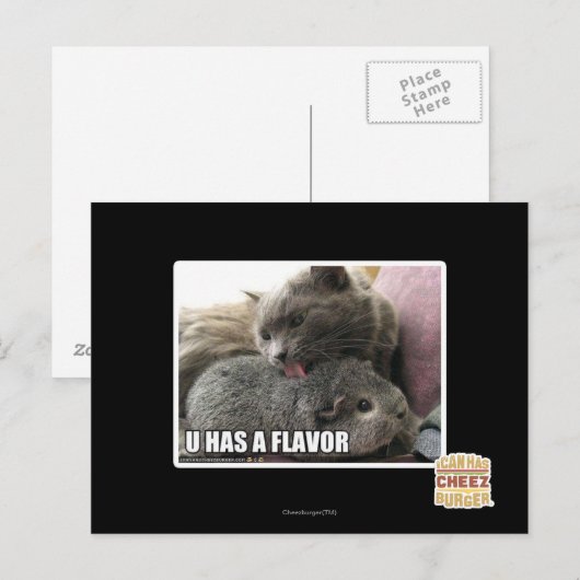 U HEEFT EEN SMAAK BRIEFKAART (Voorkant / Achterkant)