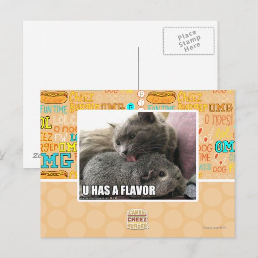 U HEEFT EEN SMAAK BRIEFKAART (Voorkant / Achterkant)