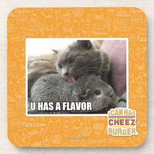 U HEEFT EEN VLAK DRANKJES ONDERZETTER