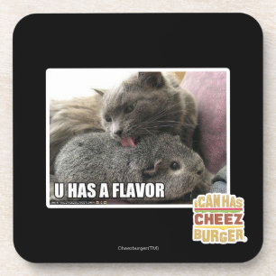 U HEEFT EEN VLAK DRANKJES ONDERZETTER