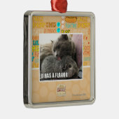 U HEEFT EEN VLAK METALEN ORNAMENT (Rechts)