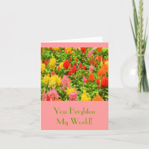 "U HELDERT MIJN WERELD" /ANNIVERSARY CARD/CELOSIA KAART